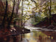 Along Wissahickon Wall Decal