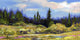 Panorama Wall Decal