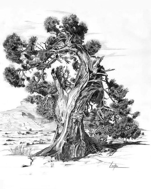Trees C Wall Decal