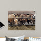 Cows Wall Decal