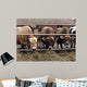 Cows Wall Decal