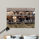 Cows Wall Decal