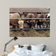 Cows Wall Decal