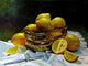 Lemons 2 Wall Decal