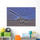High Dynamic Range Hdr Wall Decal