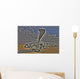 High Dynamic Range Photo Wall Decal Design 8