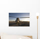 Iraqi Helicopter Sits Flight Wall Decal Design 5