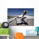 Baghdad Iraq Iraqi Howitzer Wall Decal