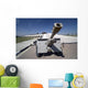 Baghdad Iraq Iraqi Howitzer Wall Decal