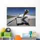 Baghdad Iraq Iraqi Howitzer Wall Decal