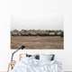 Selection M992 Cat or Wall Decal