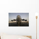 Wide Angle Front End Wall Decal