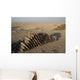 Inert Artillery Shells Are Wall Decal Design 4