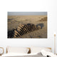 Inert Artillery Shells Are Wall Decal Design 4