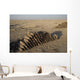 Inert Artillery Shells Are Wall Decal Design 4