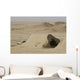 Mamba Armored Vehicle Sits Wall Decal