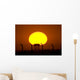 Sunrise over Camp Wolfe Wall Decal
