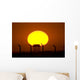 Sunrise over Camp Wolfe Wall Decal