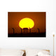 Sunrise over Camp Wolfe Wall Decal