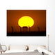 Sunrise over Camp Wolfe Wall Decal