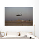 Uh-60 Blackhawk Helicopter Flies Wall Decal