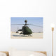 Oh-58d Kiowa Warrior Helicopter Wall Decal
