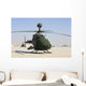 Oh-58d Kiowa Warrior Helicopter Wall Decal
