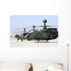 Oh-58d Kiowa Warrior Helicopters Wall Decal