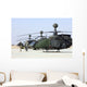 Oh-58d Kiowa Warrior Helicopters Wall Decal
