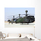 Oh-58d Kiowa Warrior Helicopters Wall Decal