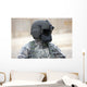 Uh-60 Black Hawk Helicopter Wall Decal Design 8