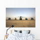 Us Military Vehicles and Wall Decal