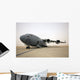 C-17 Globemaster Iii Sits Wall Decal Design 3