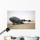 C-17 Globemaster Iii Sits Wall Decal Design 3