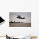 Uh-60 Black Hawk Taking Wall Decal