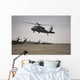 Uh-60 Black Hawk Taking Wall Decal