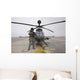 Oh-58d Kiowa Warrior Pilot Wall Decal