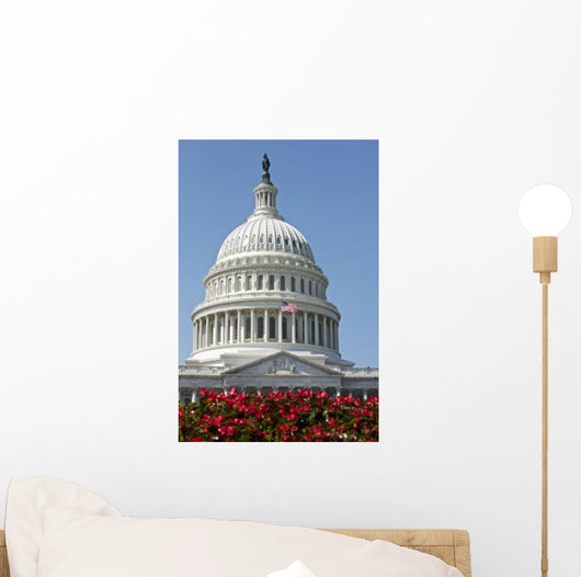 United States Capitol Building Wall Decal Design 3