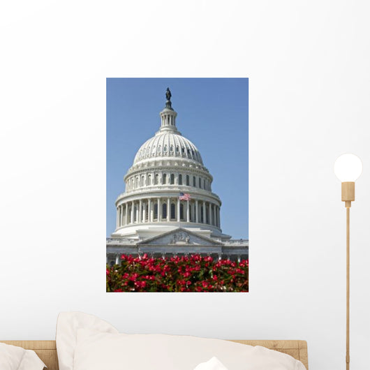 United States Capitol Building Wall Decal Design 3