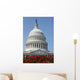 United States Capitol Building Wall Decal Design 3