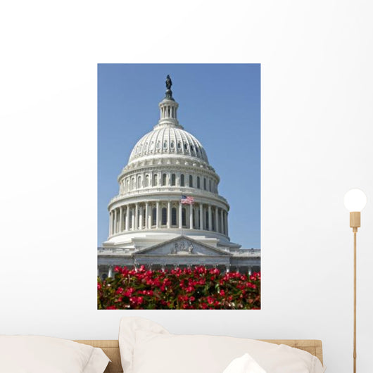 United States Capitol Building Wall Decal Design 3
