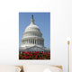 United States Capitol Building Wall Decal Design 3