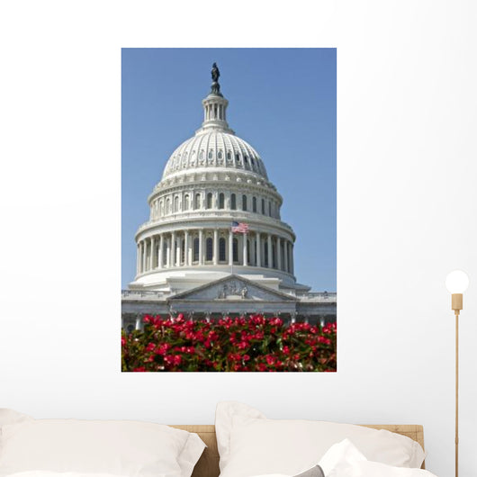 United States Capitol Building Wall Decal Design 3