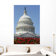 United States Capitol Building Wall Decal Design 3