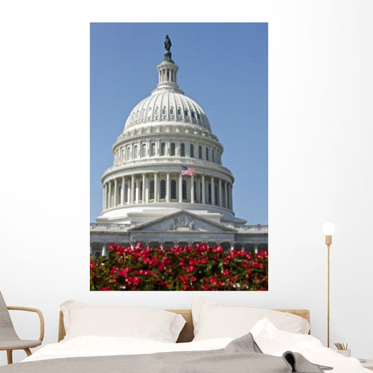 United States Capitol Building Wall Decal Design 3