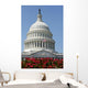 United States Capitol Building Wall Decal Design 3