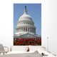 United States Capitol Building Wall Decal Design 3