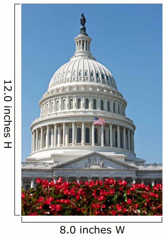 United States Capitol Building Wall Decal Design 3