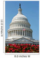 United States Capitol Building Wall Decal Design 3