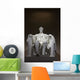 Lincoln Memorial Washington Dc Wall Decal Design 3